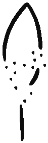 Image of the occurrence